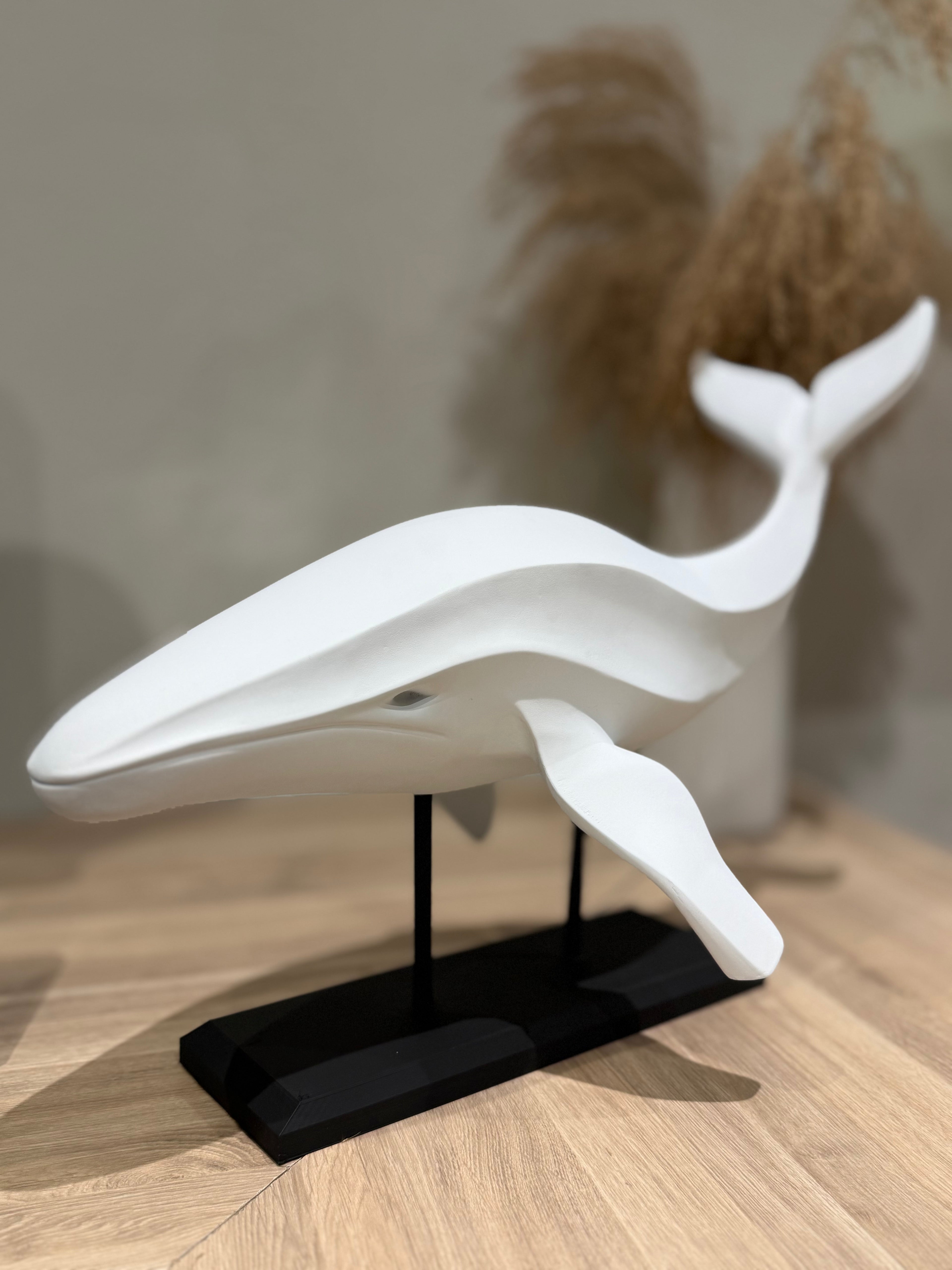 The White Drift Whale